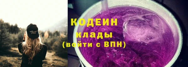 скорость Вяземский