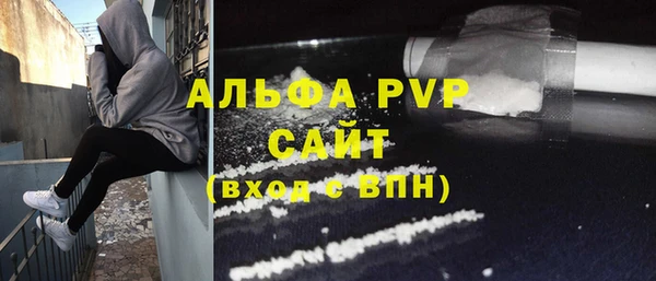 прущие грибы Вязьма