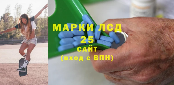 прущие грибы Вязьма