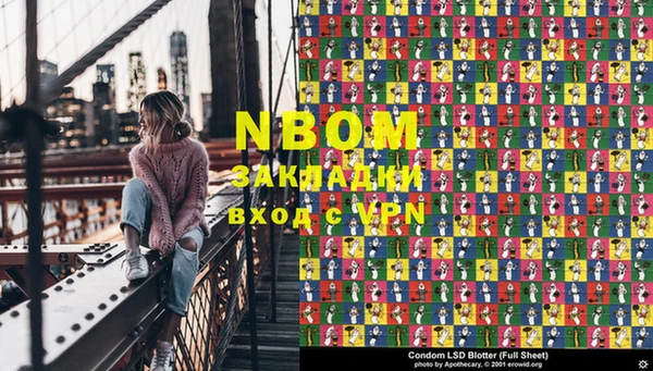 прущие грибы Вязьма