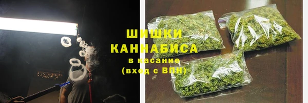 прущие грибы Вязьма