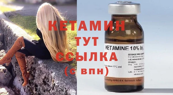 прущие грибы Вязьма