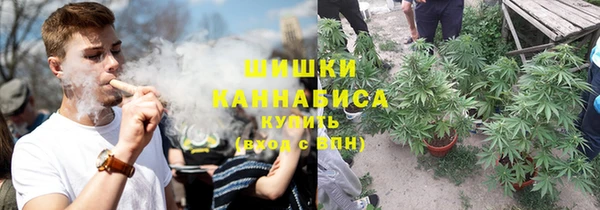 прущие грибы Вязьма