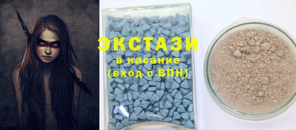 прущие грибы Вязьма