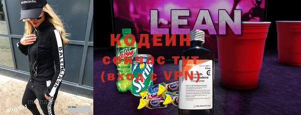 прущие грибы Вязьма