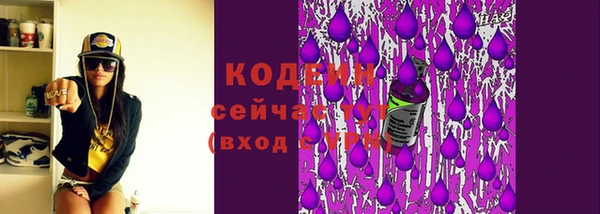 скорость Вяземский